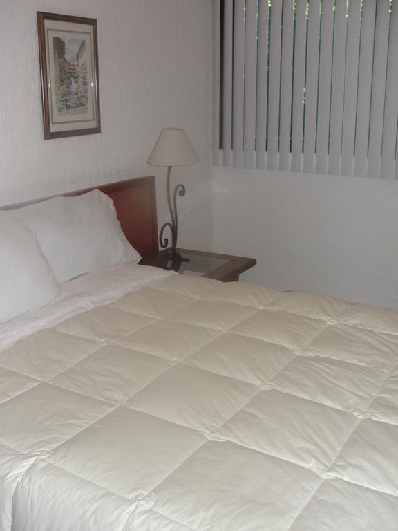Steinhaus Suites Homero Kota Meksiko Bagian luar foto